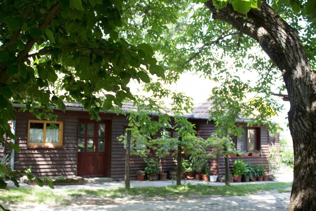 Holiday Home Melinda Ceglédpuszta エクステリア 写真